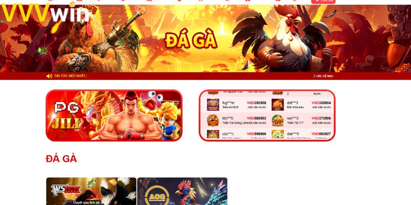 Chỉ với 3 bước bạn đã có thể tham gia đá gà